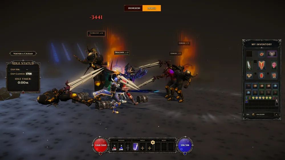 Real gameplay: a party hunting in the Dungeon